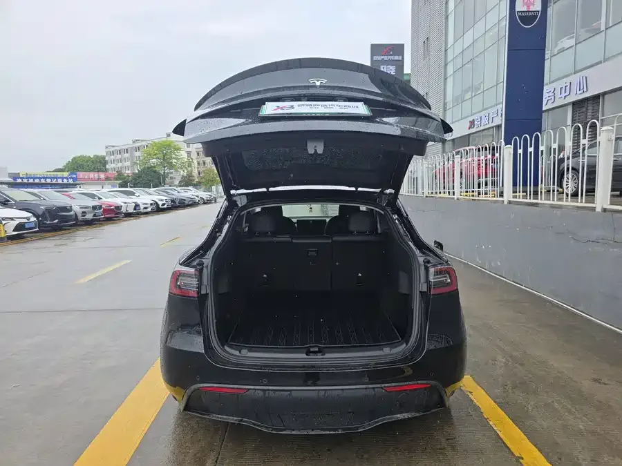 Tesla Model Y Model Y 2023 rear-wheel drive version 2024 — миниатюра 3