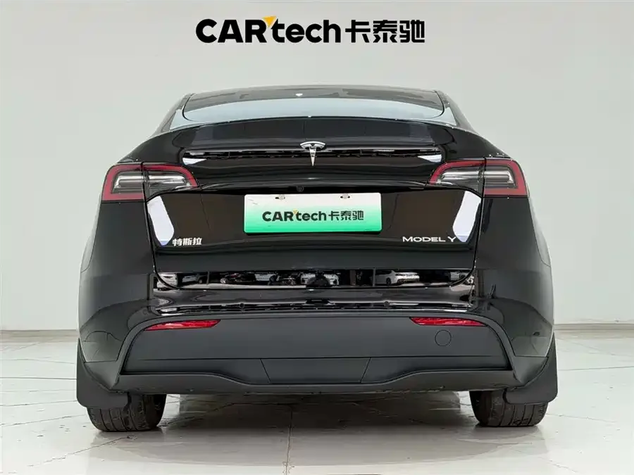 Tesla Model Y Model Y 2023 rear-wheel drive version 2023 — миниатюра 3