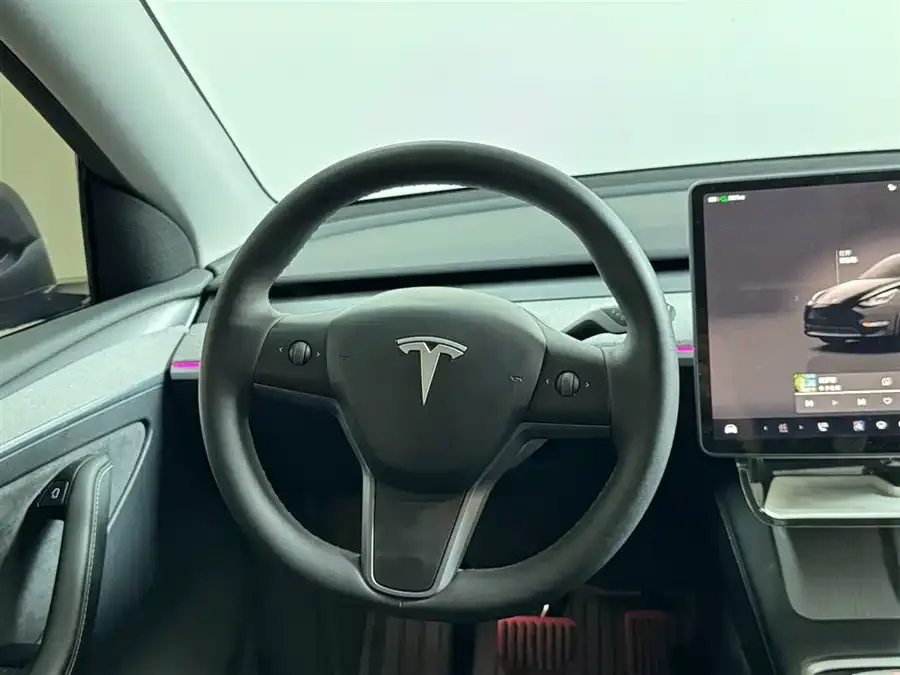 Tesla Model Y Model Y 2023 rear-wheel drive version 2023 — миниатюра 3