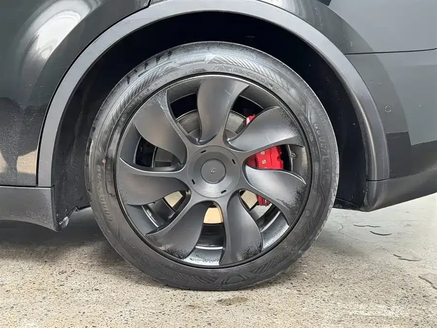 Tesla Model Y Model Y 2023 rear-wheel drive version 2023 — миниатюра 5