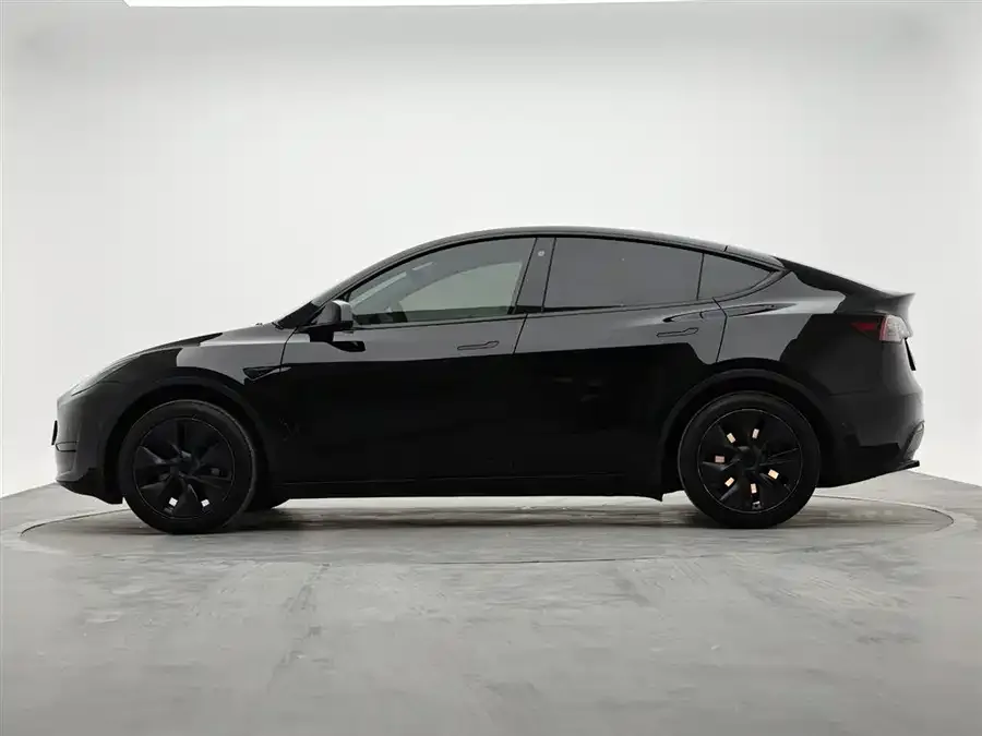Tesla Model Y Model Y 2023 rear-wheel drive version 2023 — миниатюра 2