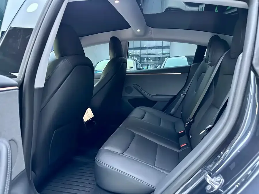 Tesla Model 3 Model 3 2025 rear-wheel drive version 2025 — миниатюра 3