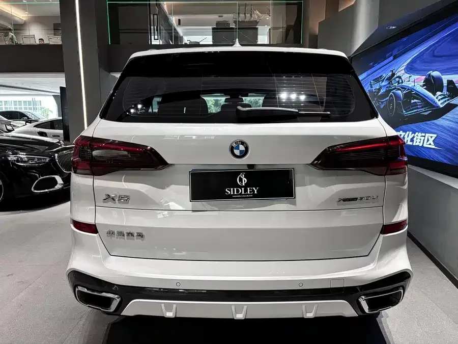 BMW X5 2022 facelift xDrive 30Li Exclusive M Sport Package 2023 — миниатюра 2