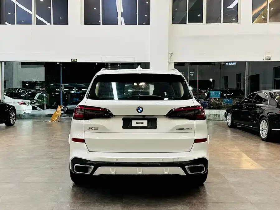 BMW X5 2022 xDrive 30Li Exclusive M Sport Package 2022 — миниатюра 2