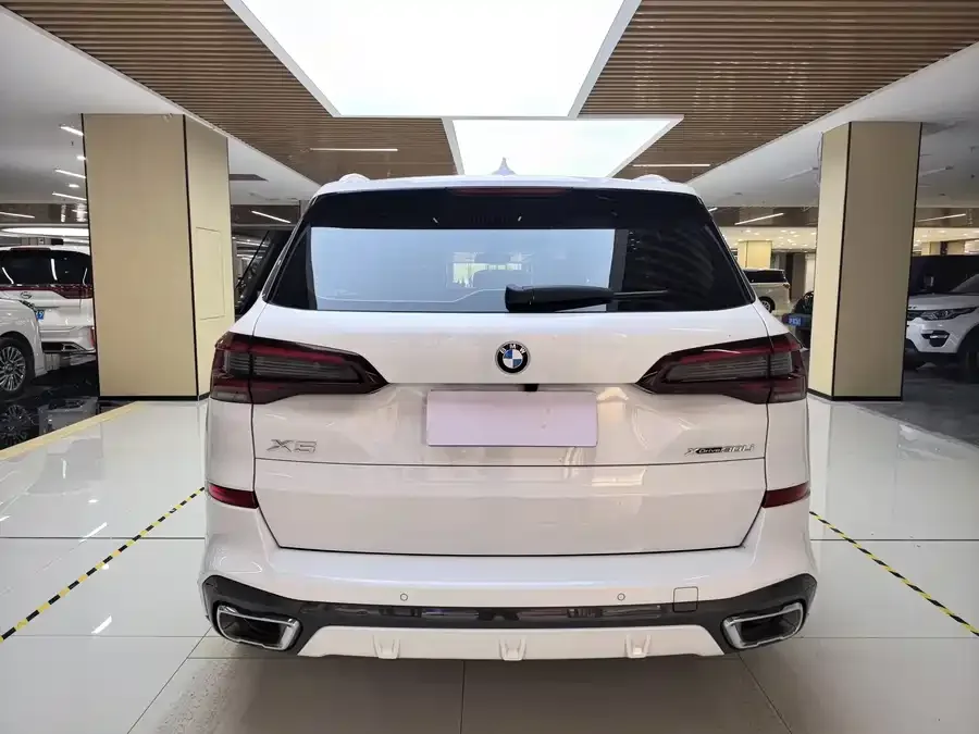 BMW X5 2022 xDrive 30Li M Sport Package 2023 — миниатюра 4
