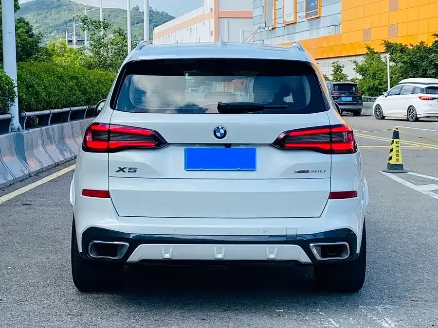 BMW X5 2022 xDrive 30Li Exclusive M Sport Package 2022 — миниатюра 2