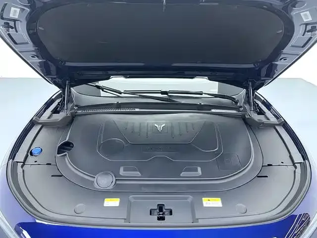 Voyah Lantu FREE Lantu FREE 2021 four-wheel drive standard extended range exclusive luxury package 2022 — миниатюра 5