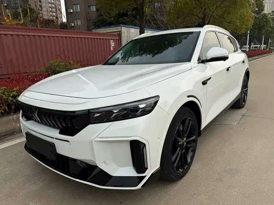 Voyah Lantu FREE Lantu FREE 2024 ultra-long battery life smart driving version 2023 — фото 1, купить с доставкой в Москву