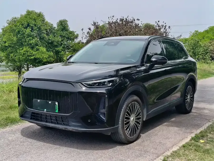 Chery Fengyun T9 2024