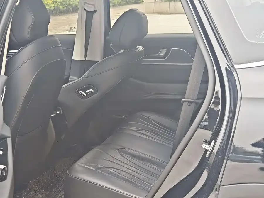 Chery Fengyun T9 Fengyun T9 2024 120 Long-range luxury 5-seater ternary lithium 2024 — миниатюра 5