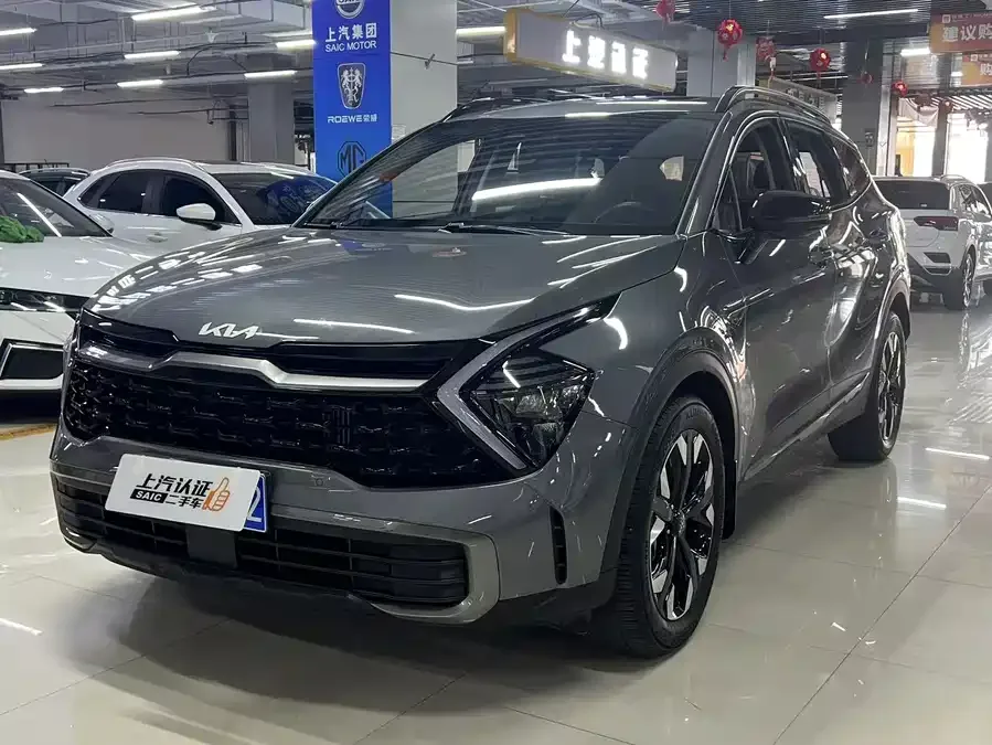 Kia Lion Platinum 2024