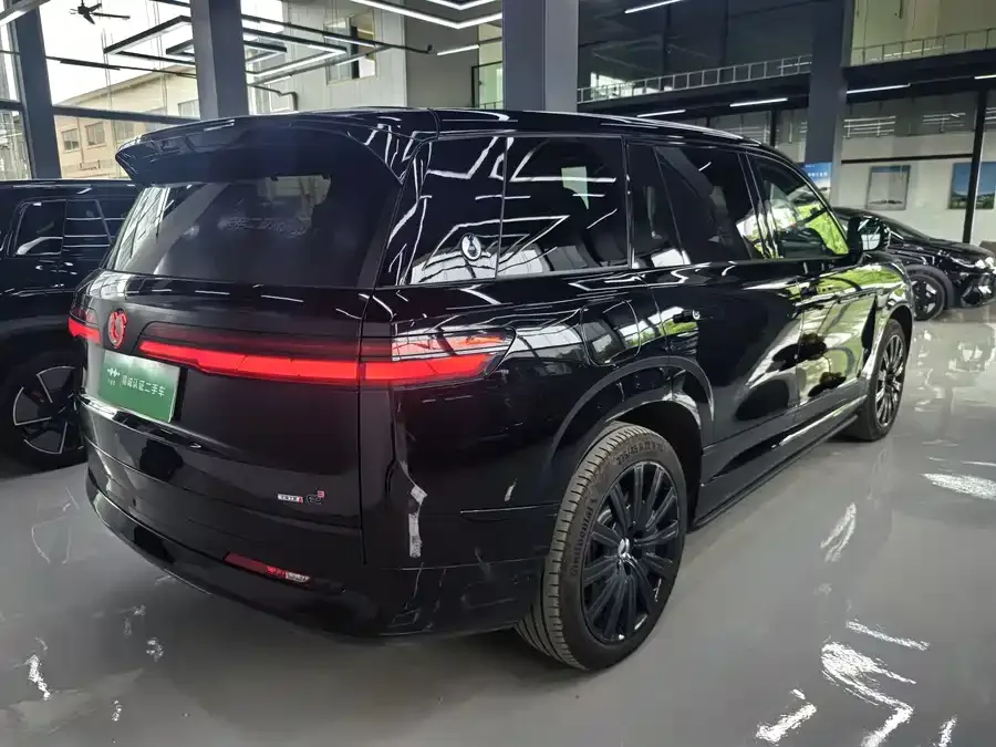 BYD N9 Denza N9 2025 flagship model 2025 — миниатюра 4