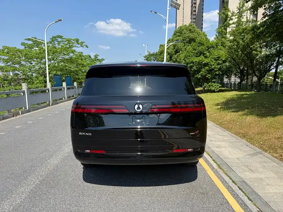 BYD N9 Denza N9 2025 flagship model 2025 — миниатюра 2