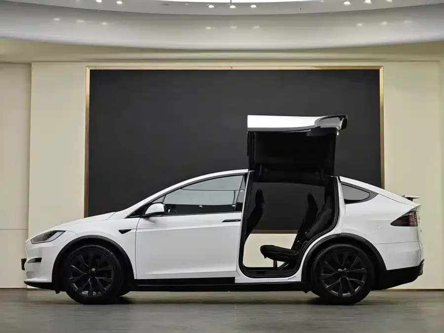 Tesla Model X Model X 2023 Dual Motor All-Wheel Drive 2024 — миниатюра 4