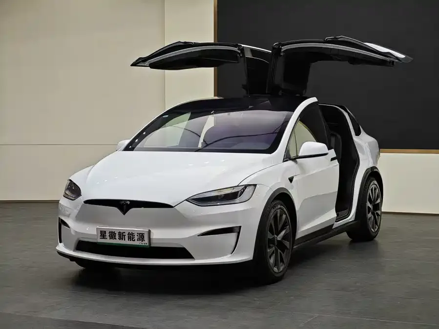 Tesla Model X Model X 2023 Dual Motor All-Wheel Drive 2024 — фото 1, купить с доставкой в Москву