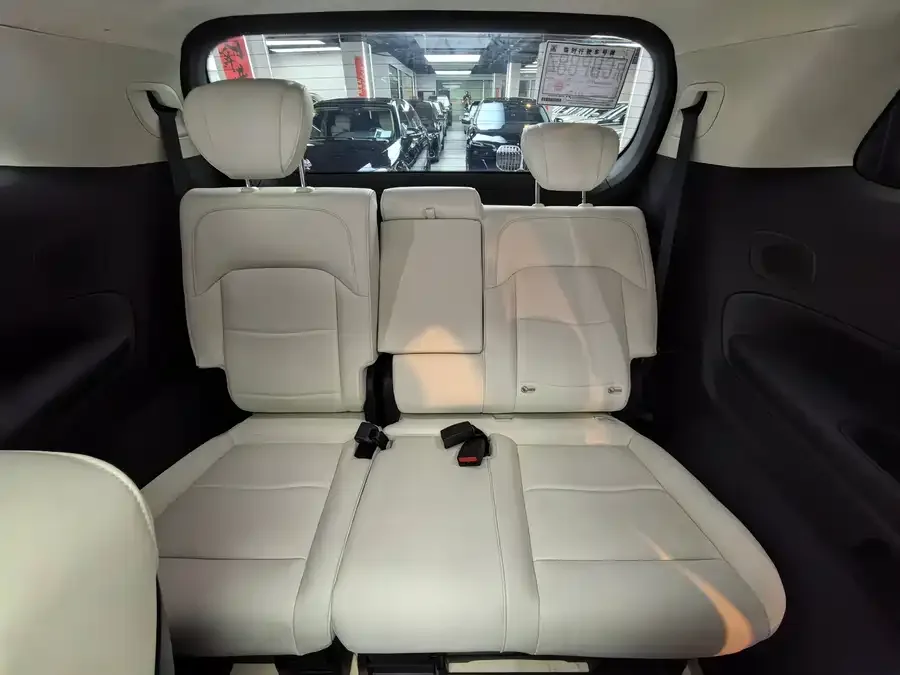 GAC Trumpchi E9 Trumpchi E9 2023 E9 MAX 2023 — миниатюра 4