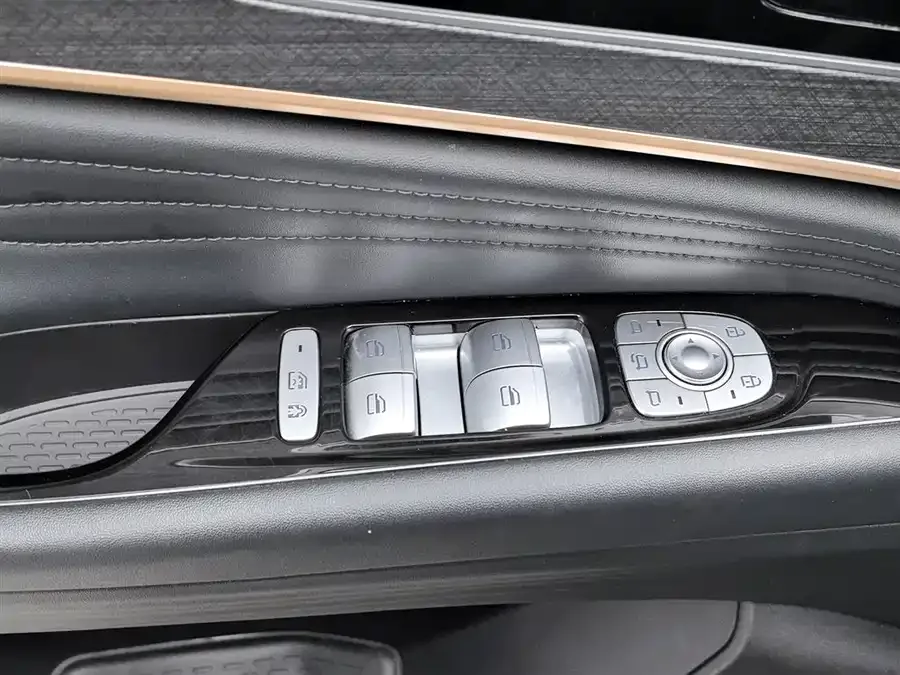 Chery Tiggo 9 Tiggo 9 2023 2.0T dual-clutch 2WD leading version 5 seats 2024 — миниатюра 3