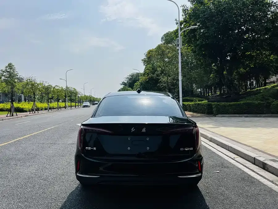 Hongqi E-QM5 Hongqi E-QM5 2023 facelift basic travel version 2023 — миниатюра 5