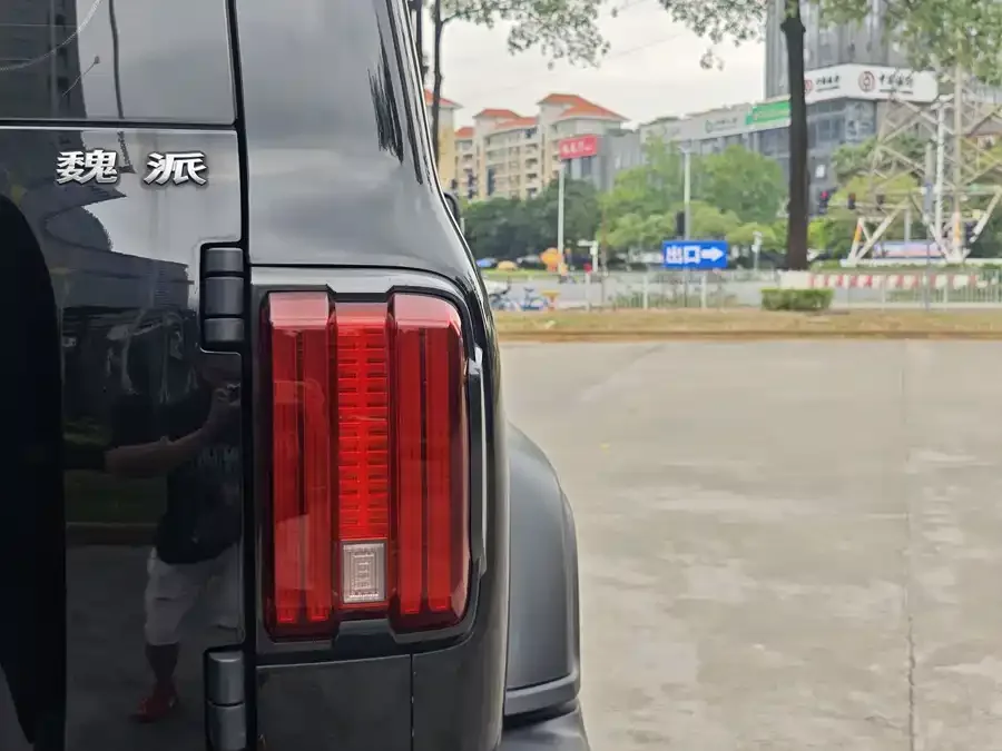 Tank 300 Tank 300 2021 Off-Road Edition 2.0T Conqueror 2022 — миниатюра 3