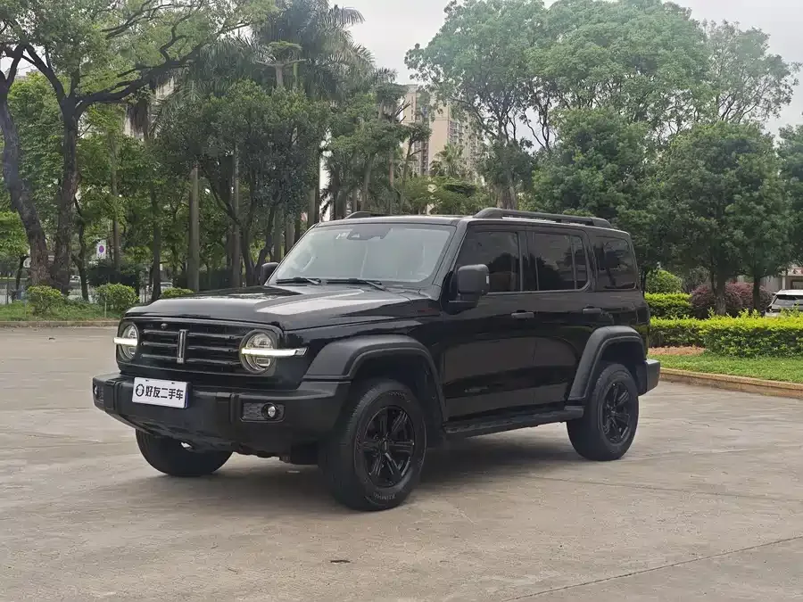 Tank 300 Tank 300 2021 Off-Road Edition 2.0T Conqueror 2022 — фото 1, купить с доставкой в Москву