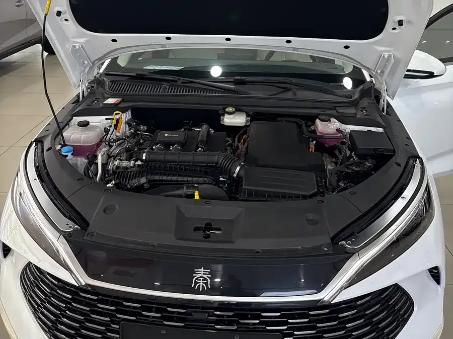 BYD Qin L Qin L 2024 DM-i 80KM Leading Edition 2024 — миниатюра 4