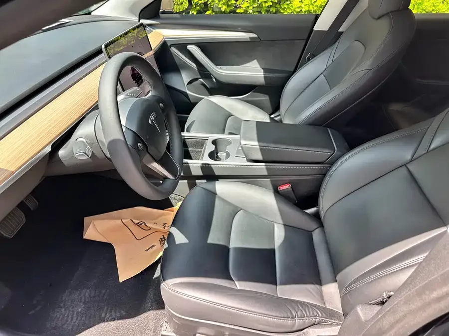 Tesla Model 3 Model 3 2022 rear-wheel drive version 2023 — миниатюра 4
