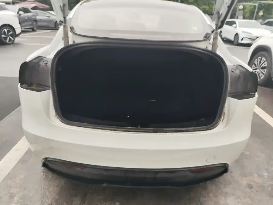 Tesla Model 3 Model 3 2025 facelift rear-wheel drive version 2026 — миниатюра 3