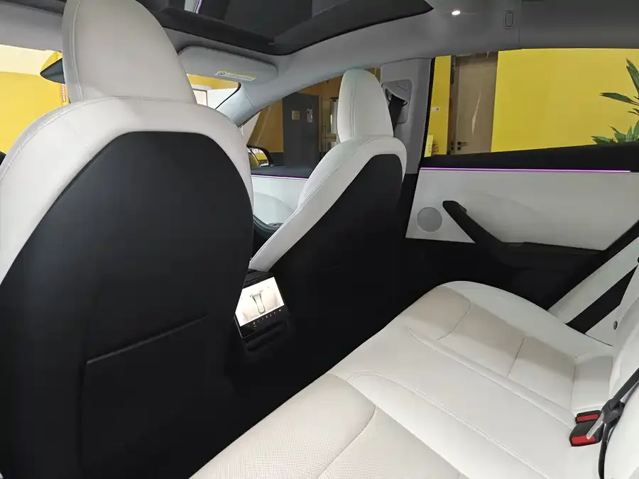 Tesla Model 3 Model 3 2023 rear-wheel drive version 2024 — миниатюра 2