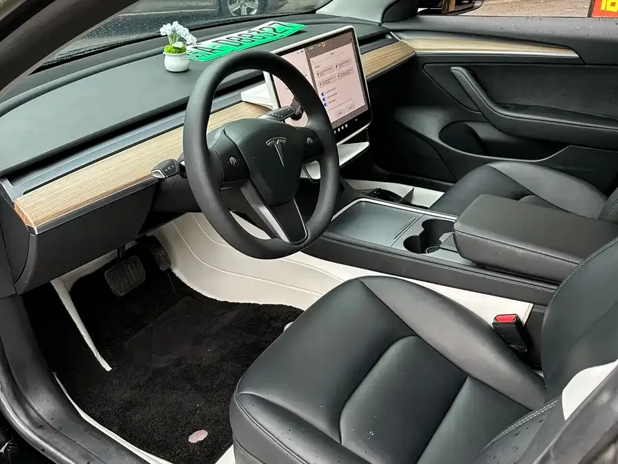 Tesla Model 3 Model 3 2022 rear-wheel drive version 2023 — миниатюра 4
