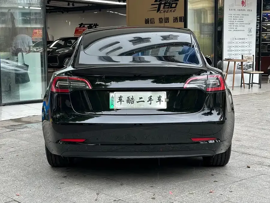 Tesla Model 3 Model 3 2022 rear-wheel drive version 2023 — миниатюра 5