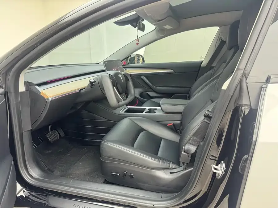 Tesla Model 3 Model 3 2022 rear-wheel drive version 2022 — миниатюра 2
