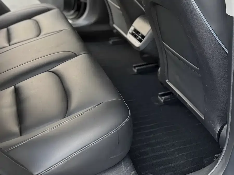 Tesla Model 3 Model 3 2022 rear-wheel drive version 2022 — миниатюра 4