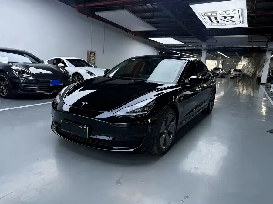 Tesla Model 3 Model 3 2022 rear-wheel drive version 2022 — фото 1, купить с доставкой в Москву