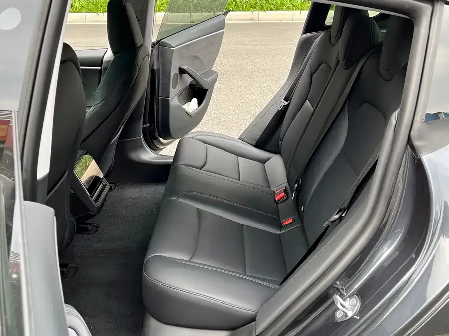Tesla Model 3 Model 3 2023 Long Range All-Wheel Drive 2024 — миниатюра 4