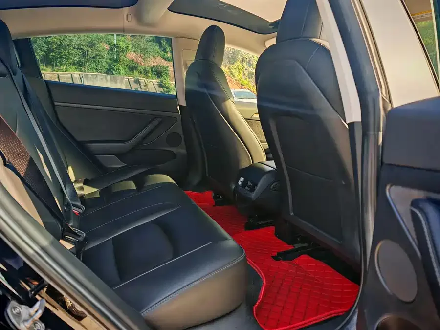 Tesla Model 3 Model 3 2022 rear-wheel drive version 2023 — миниатюра 5