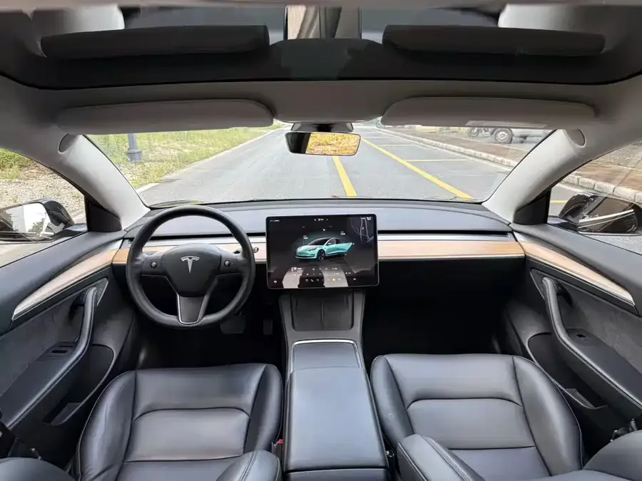 Tesla Model 3 Model 3 2022 rear-wheel drive version 2022 — миниатюра 2