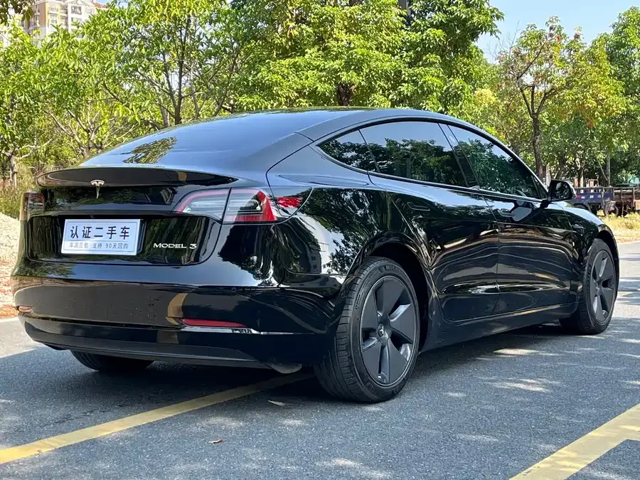 Tesla Model 3 Model 3 2022 rear-wheel drive version 2022 — миниатюра 3