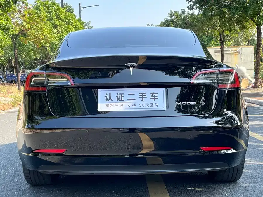 Tesla Model 3 Model 3 2022 rear-wheel drive version 2022 — миниатюра 5