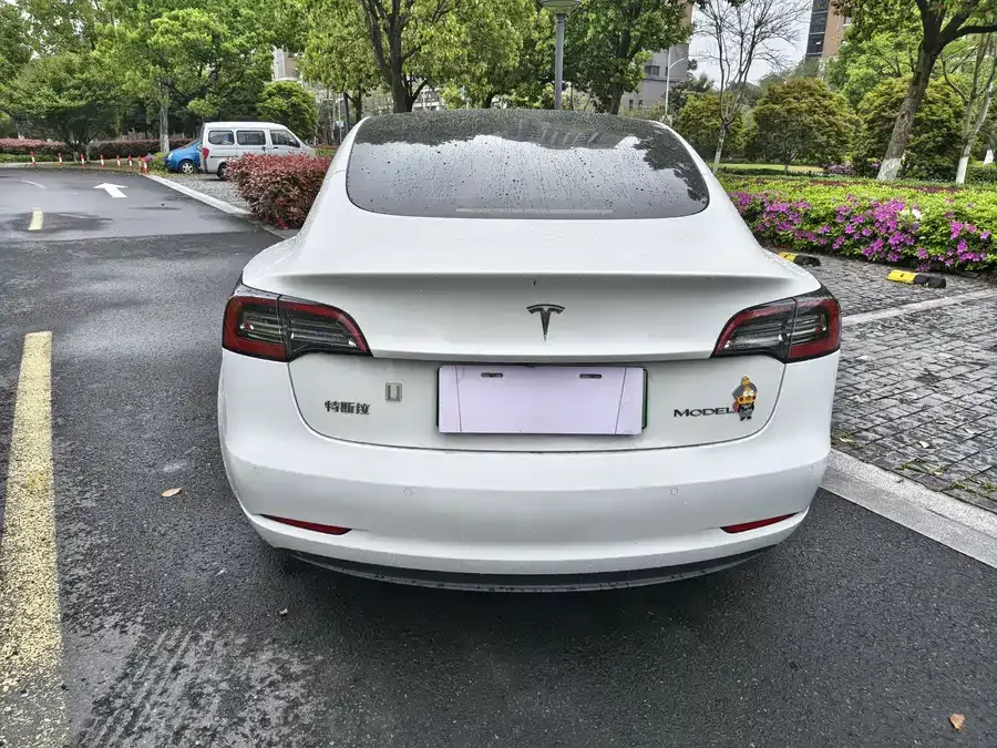 Tesla Model 3 Model 3 2022 rear-wheel drive version 2023 — миниатюра 5