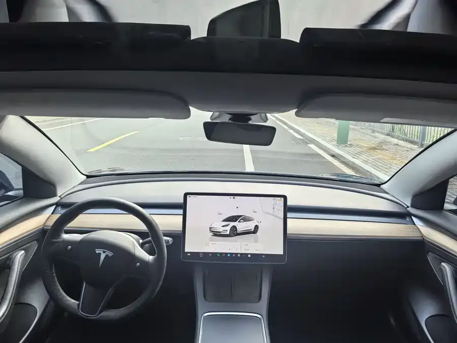 Tesla Model 3 Model 3 2022 rear-wheel drive version 2023 — миниатюра 4