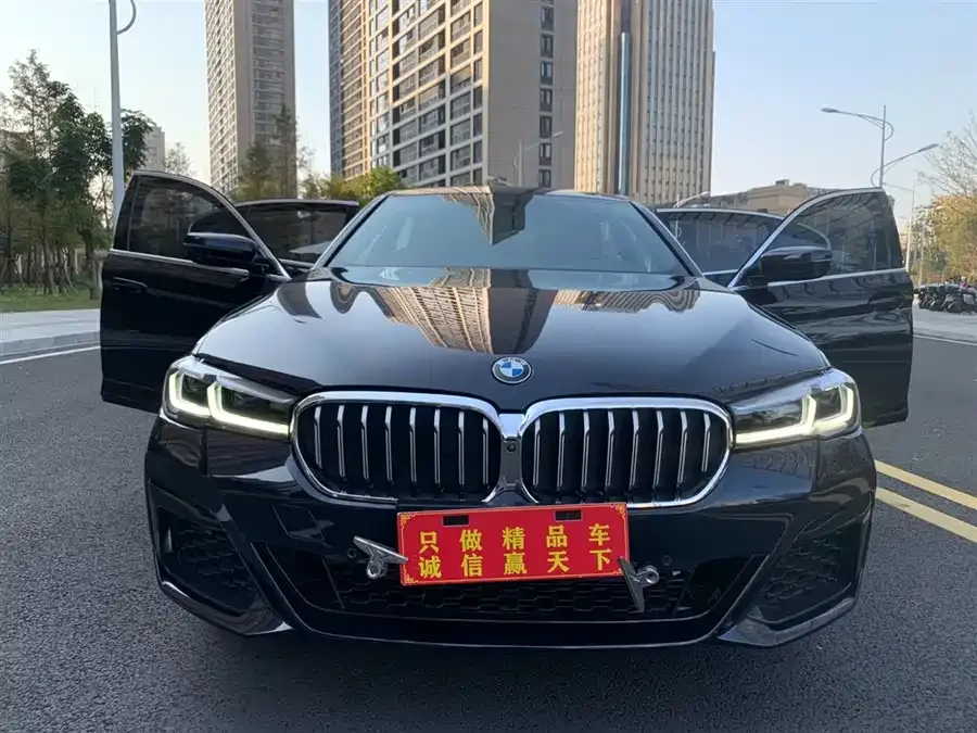 BMW 5 Series BMW 5 Series 2022 Model 2 530Li Exclusive M Sport Package 2022 — миниатюра 5