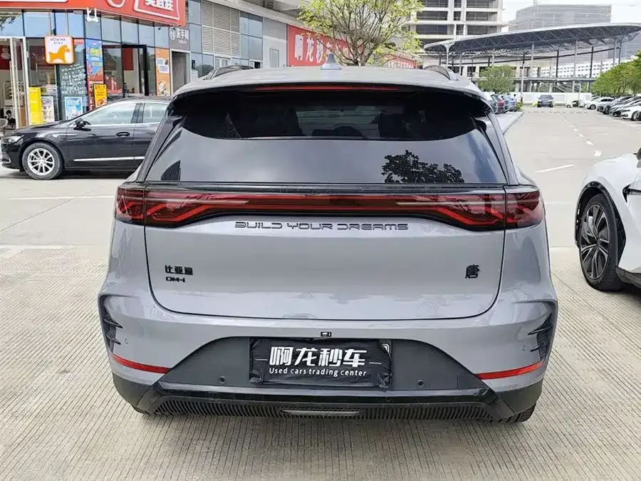 BYD Tang New Energy Tang New Energy 2025 DM-i 115KM Premium Edition 2025 — миниатюра 3
