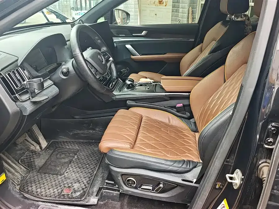 BYD Tang New Energy Tang New Energy 2021 DM-i 112KM Premium Edition 2022 — миниатюра 3