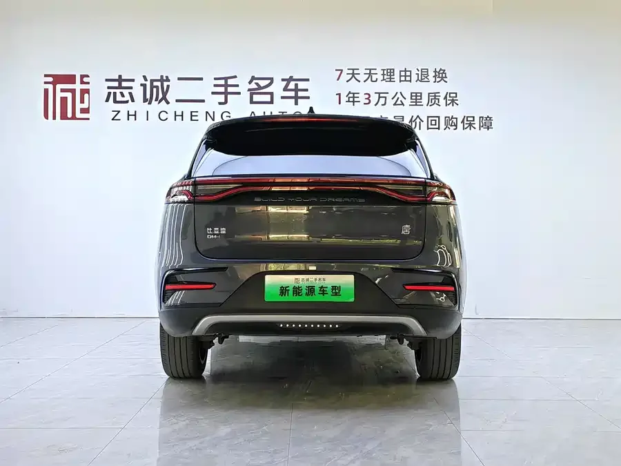 BYD Tang New Energy Tang New Energy 2021 DM-i 112KM Premium Edition 2022 — миниатюра 2