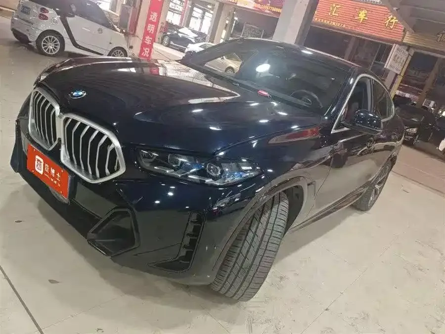 BMW X6 2024