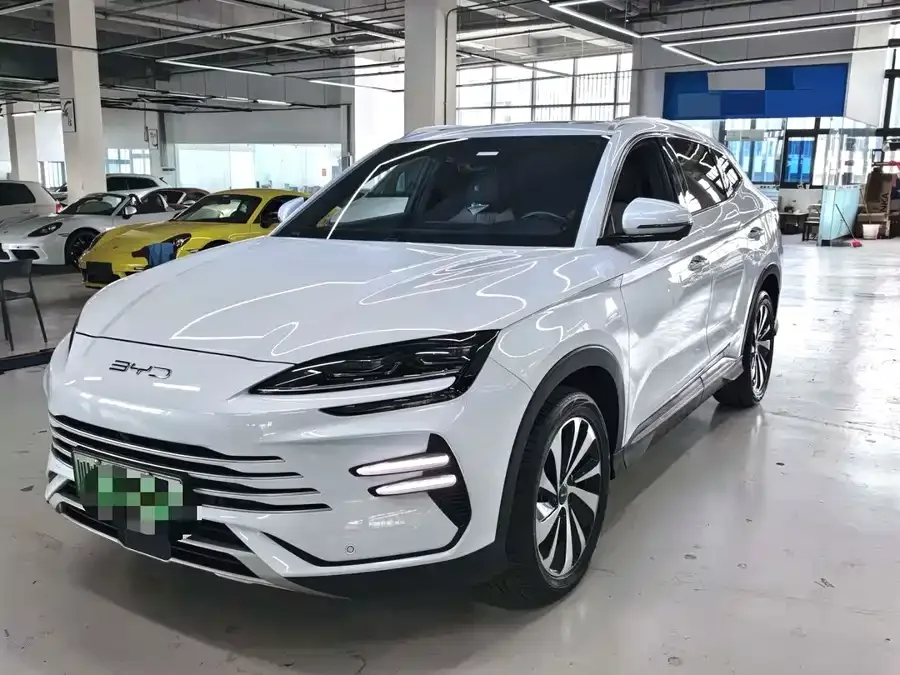 BYD Song PLUS New Energy 2024