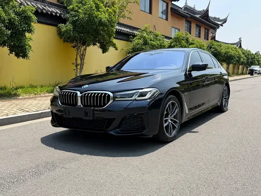 BMW 5 Series New Energy 2022