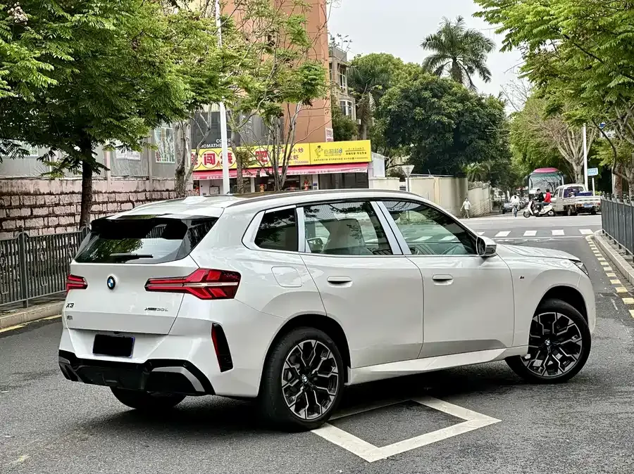 BMW X3 2025 xDrive30L Leading M Sport Night Edition 2026 — миниатюра 5