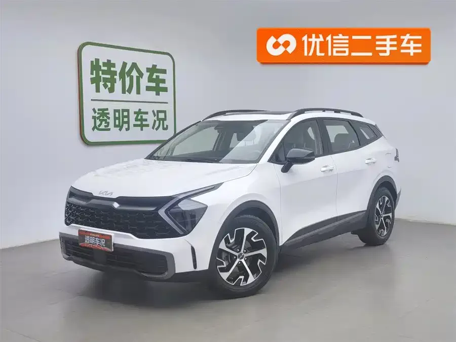 Kia Lion Platinum 2024