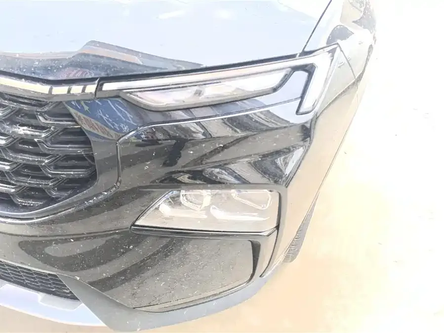Ford Lingrui Lingrui 2023 EcoBoost 170 Changling model 2023 — миниатюра 5
